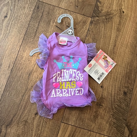 🐶 Lulu Pink “Princess Has Arrived” Tee (Girl) XS - Picture 1 of 4